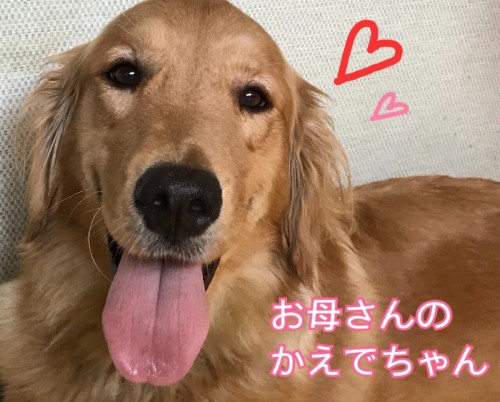 写真 2018-08-18 15 25 05