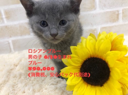 写真 2018-08-21 13 30 25