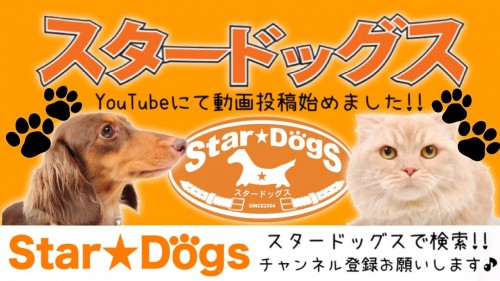 写真 2018-08-03 3 51 00