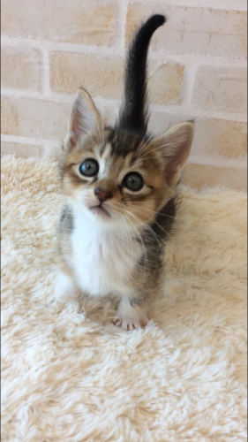 69349075-E322-4D6D-B446-F5A9ADDB6E65