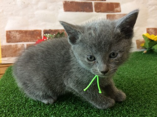 写真 2018-08-06 15 25 05