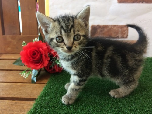 写真 2018-08-06 14 50 47