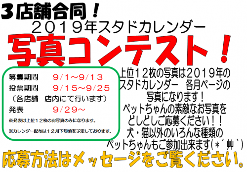 カレンダー　長方形