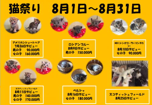 スクリーンショット 2018-08-05 15.13.33