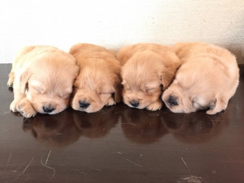 写真 2018-09-21 11 53 42