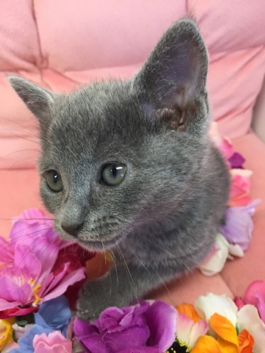 写真 2018-08-17 15 54 13