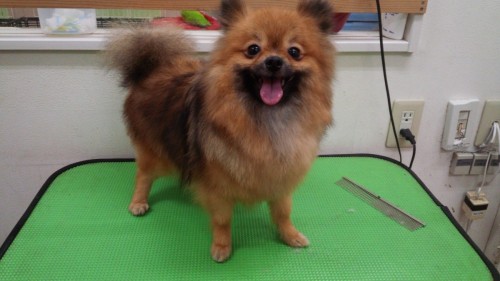 写真 2018-09-05 14 02 14