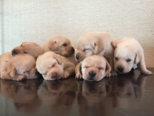 写真 2018-09-21 11 53 30