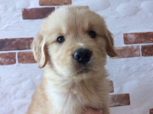 写真 2018-09-18 12 25 17