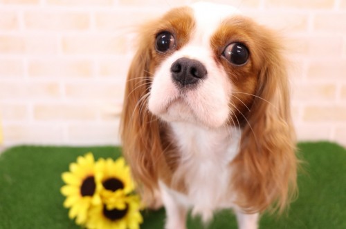 写真 2018-10-10 13 20 02 (3)