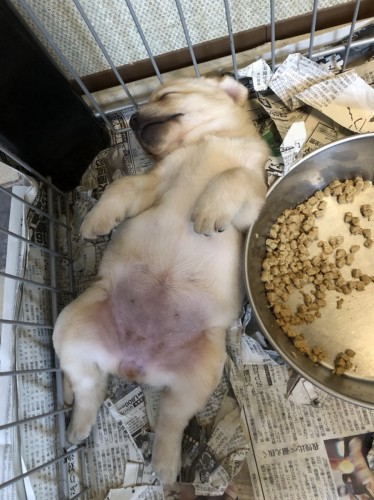 写真 2018-10-04 10 44 36