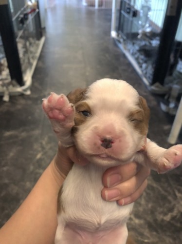 写真 2018-10-10 13 15 31