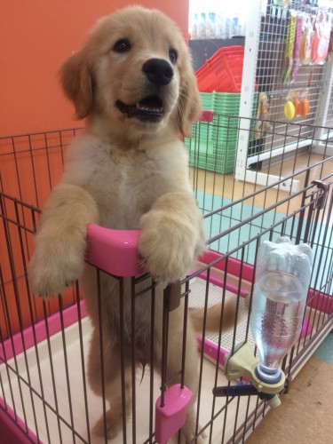 写真 2018-10-28 13 22 43