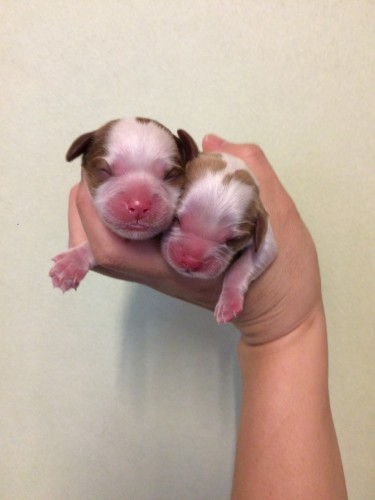 写真 2018-10-01 14 39 43 (1)