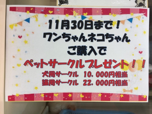 写真 2018-11-30 12 20 27