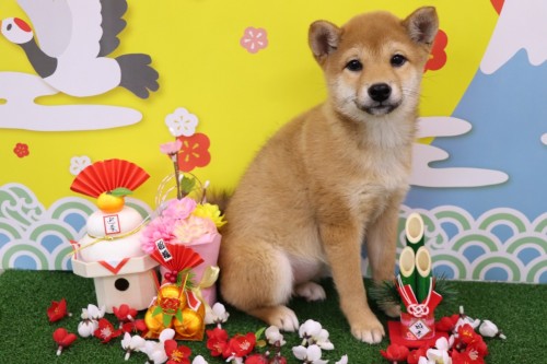 2D4B9DBF-2706-4DFF-9FBB-9C96B47664A4