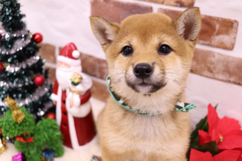 4654643D-E5ED-4E79-8A25-6370176B6E3C