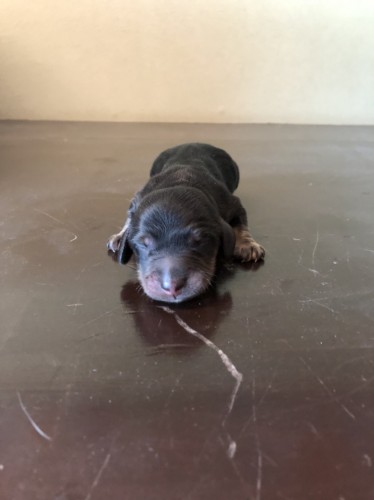 写真 2018-11-21 13 38 05