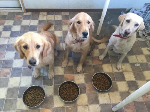 写真 2018-11-05 20 56 55