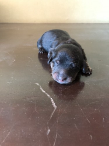 写真 2018-11-21 13 38 00