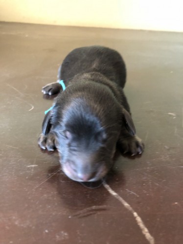 写真 2018-11-21 13 38 02