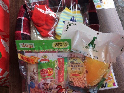 写真 2018-12-30 11 31 41