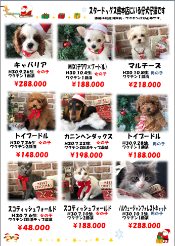 スクリーンショット 2018-12-13 16.14.35