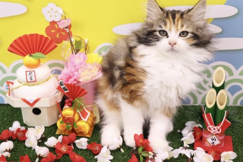 ACF8C66C-8E6B-444F-A773-F0724E58B9CE