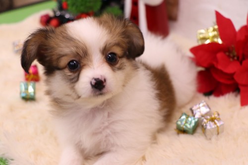 B293F783-099E-4838-928A-B4B22CBC28C5