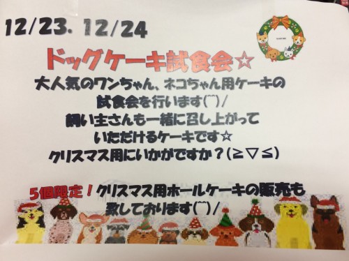 写真 2018-12-17 14 09 52