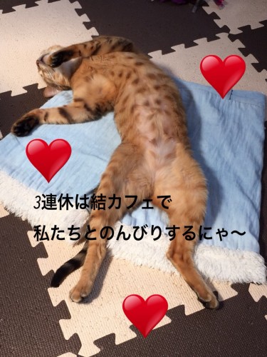 写真 2019-01-11 17 00 28