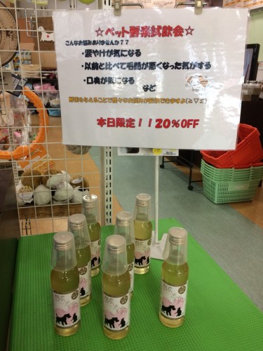 写真 2019-02-11 11 58 34