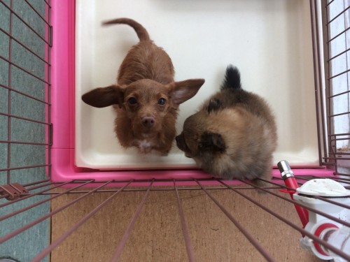 写真 2019-02-24 12 23 43