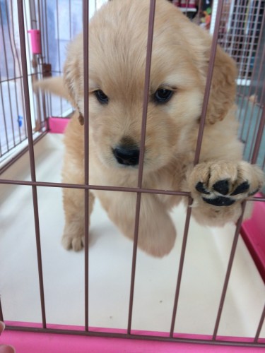 写真 2019-02-09 15 17 50