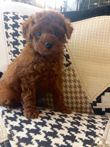 写真 2019-02-27 14 09 19