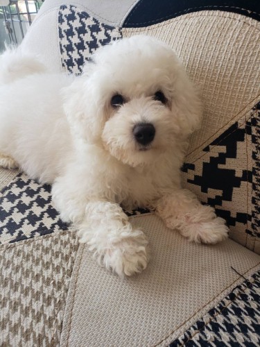 写真 2019-04-06 12 33 36