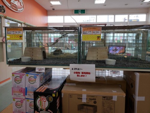 写真 2019-04-26 17 48 45