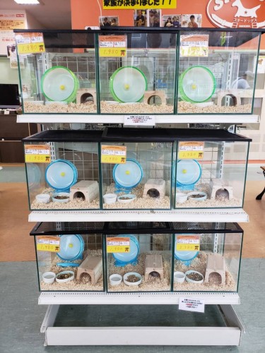 写真 2019-04-26 17 48 50