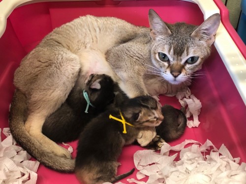 写真 2019-04-03 14 57 04