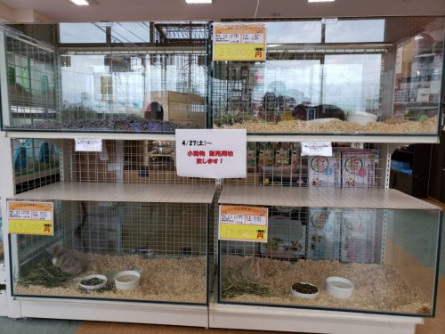 写真 2019-04-26 17 48 54