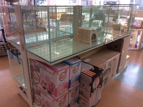 写真 2019-04-20 15 13 33