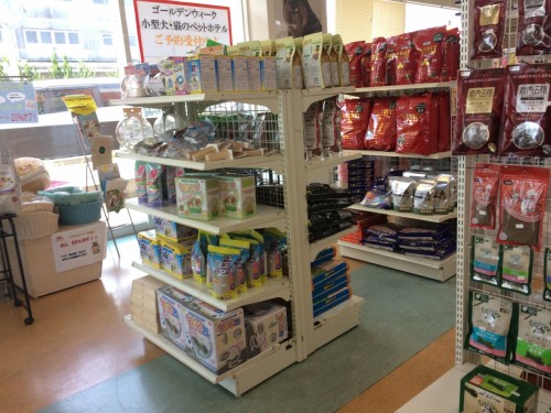 写真 2019-04-21 11 48 52