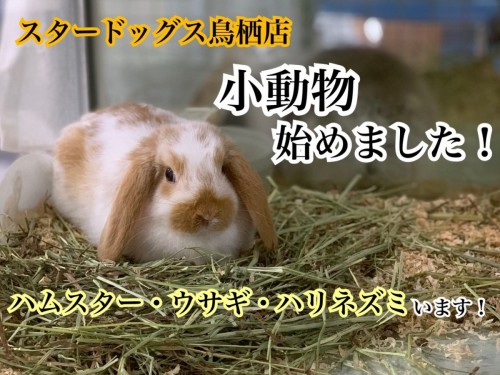 写真 2019-05-17 18 33 02