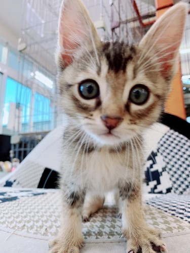 写真 2019-05-21 19 05 52