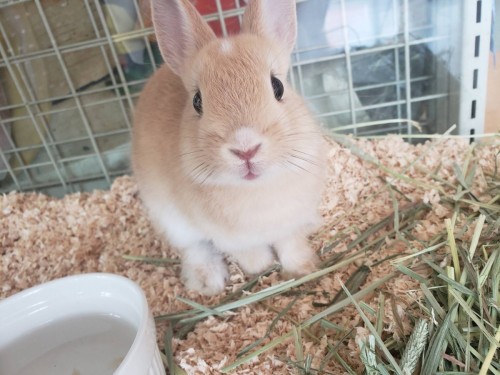 写真 2019-05-09 15 32 31