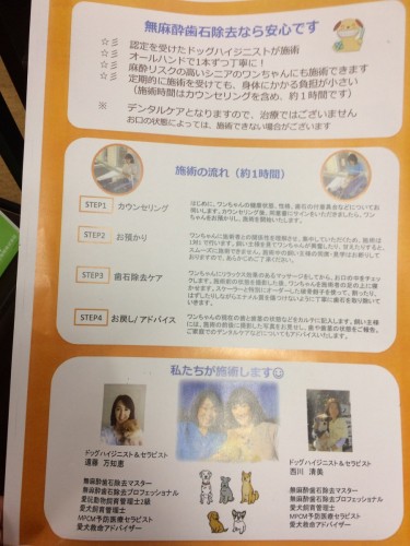 写真 2019-05-19 16 41 24