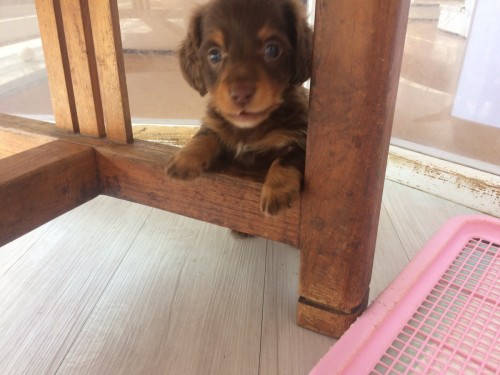 写真 2019-05-16 14 04 49