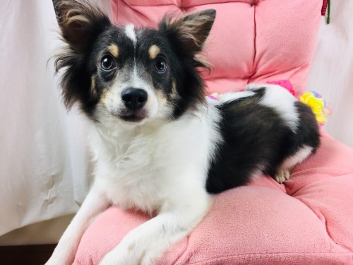 写真 2019-08-28 15 22 21