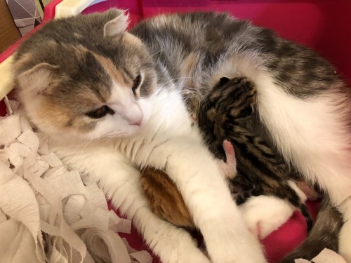 写真 2019-05-12 14 39 58