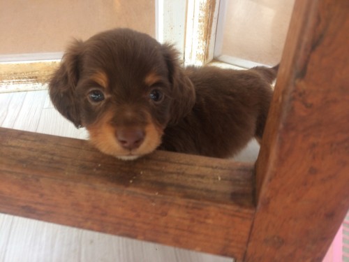 写真 2019-05-16 14 04 42